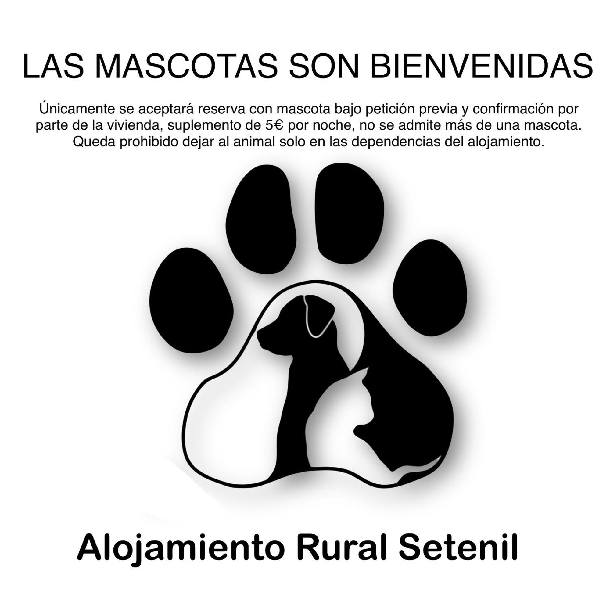 Alojamiento Rural Setenil Setenil De Las Bodegas Esterno foto